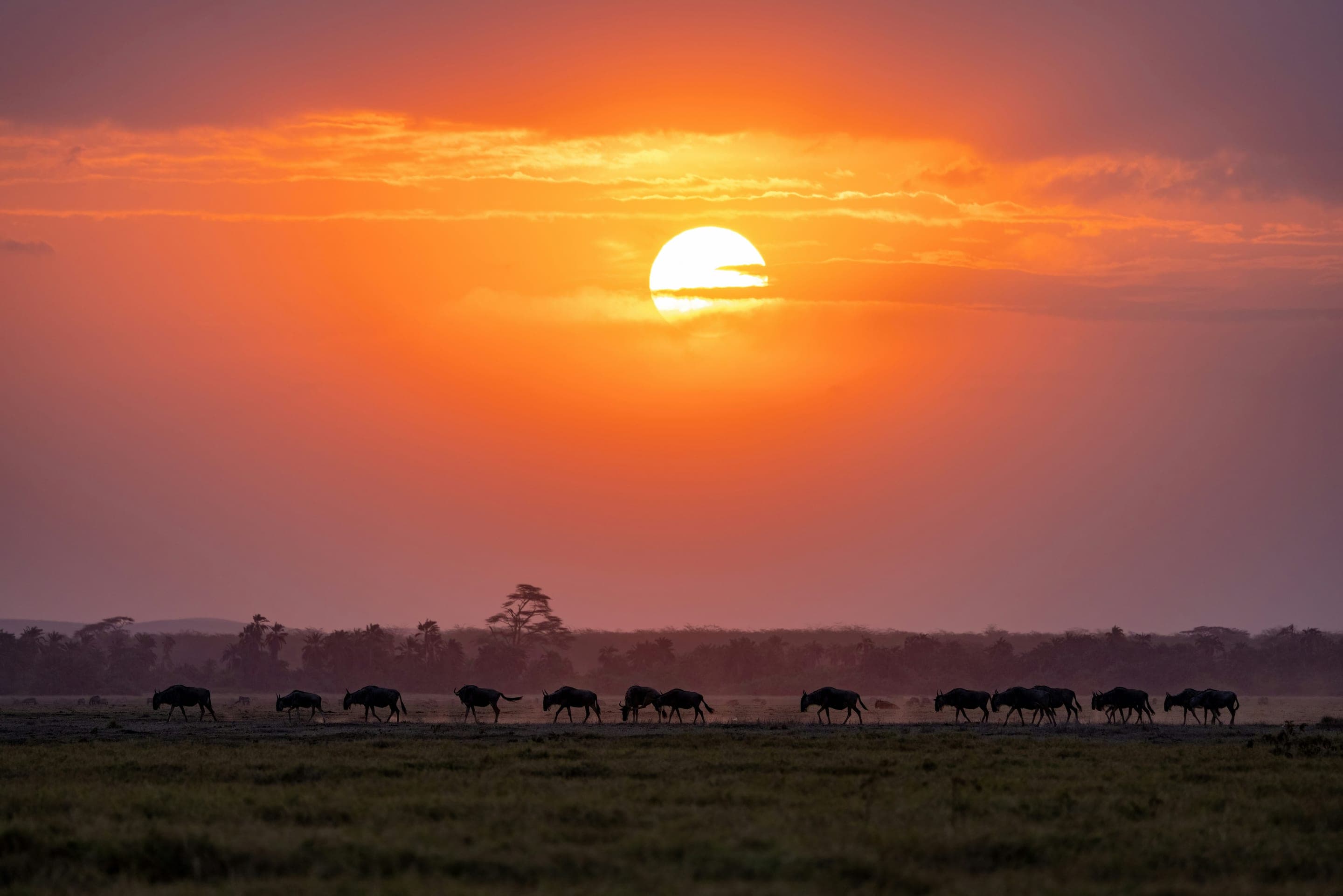 Kruger Park, África do Sul