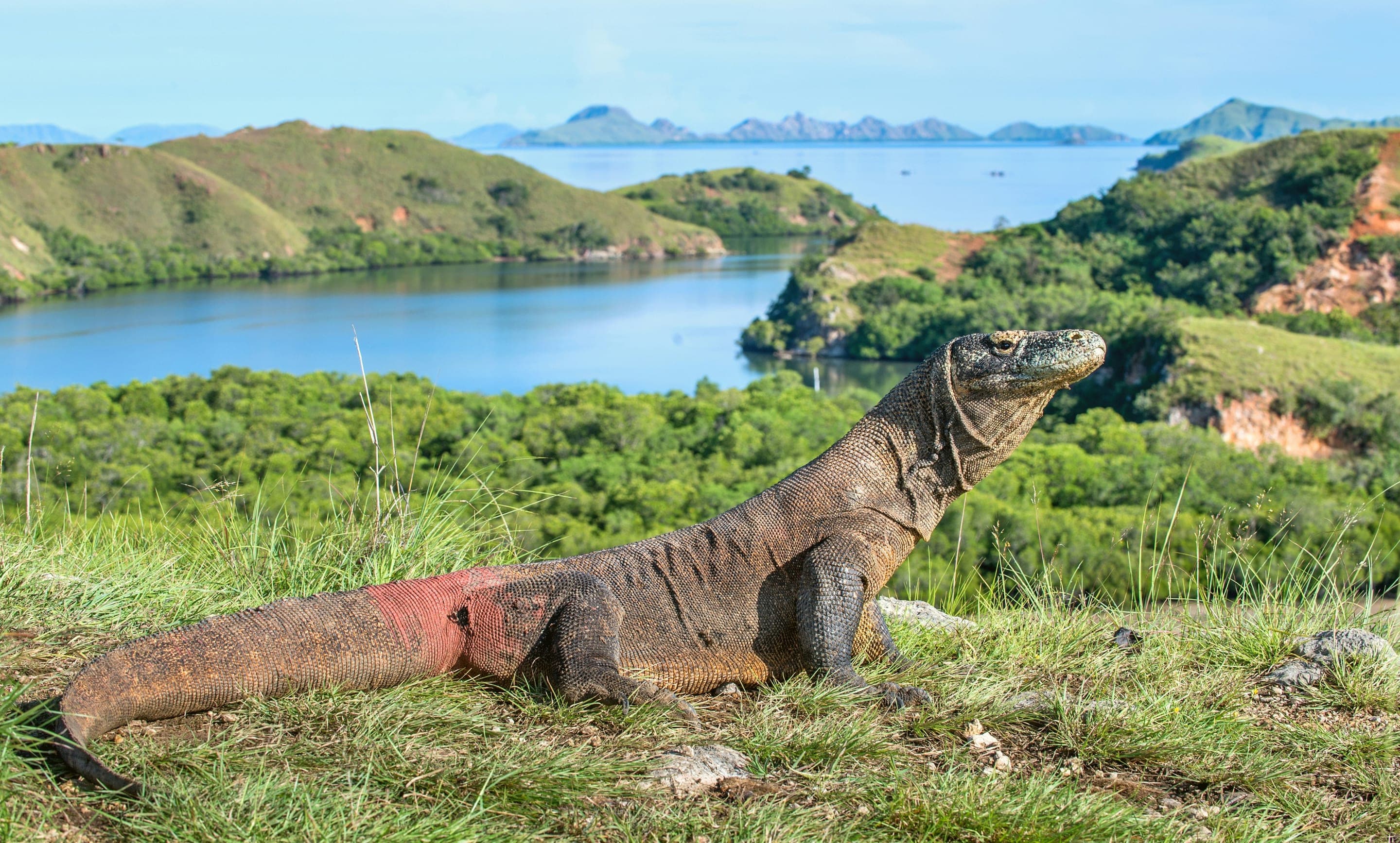Quito e Galápagos, Equador